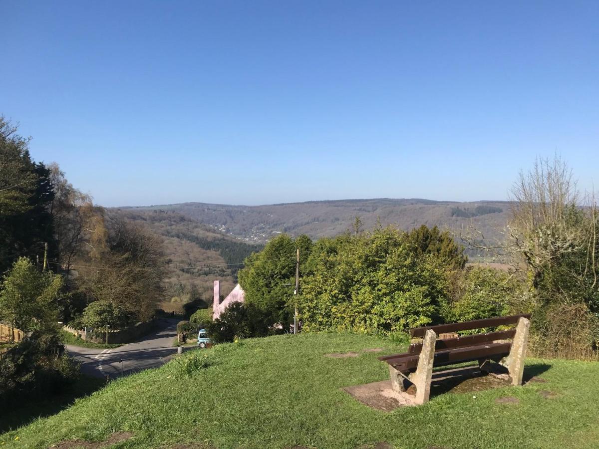 Sunnyview Annexe Villa Saint Briavels Bagian luar foto